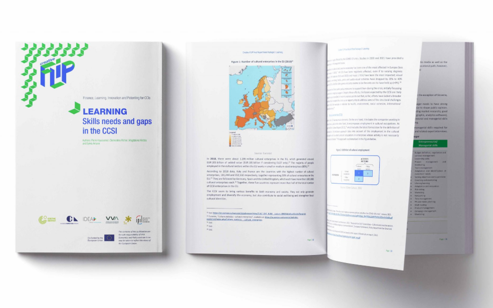 Learning: Skills needs and gaps in the CCSI